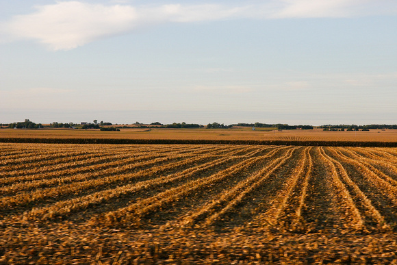 Nebraska Corn