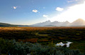 Willow Flats, Grand Teton National Park